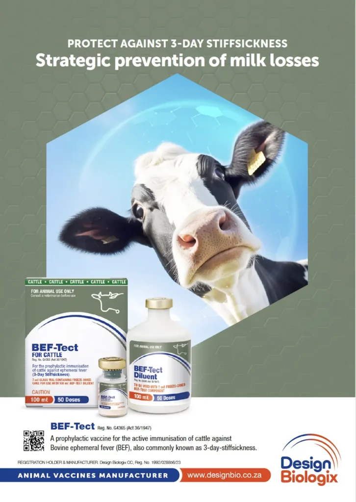 BEF-Tect Product Info
