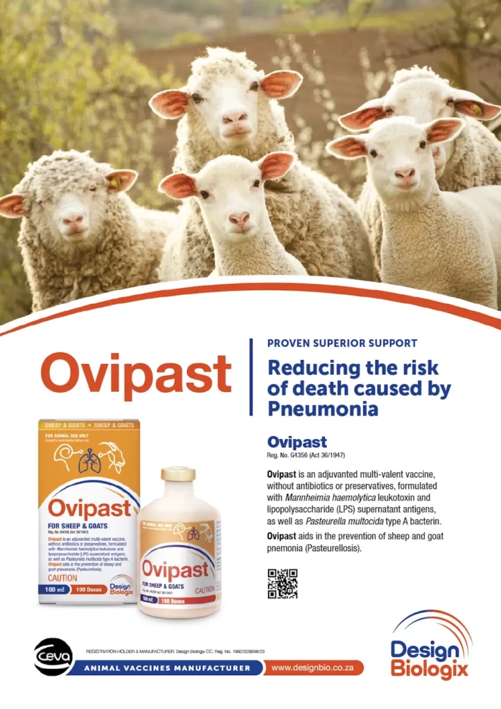 Ovipast Product Flyer