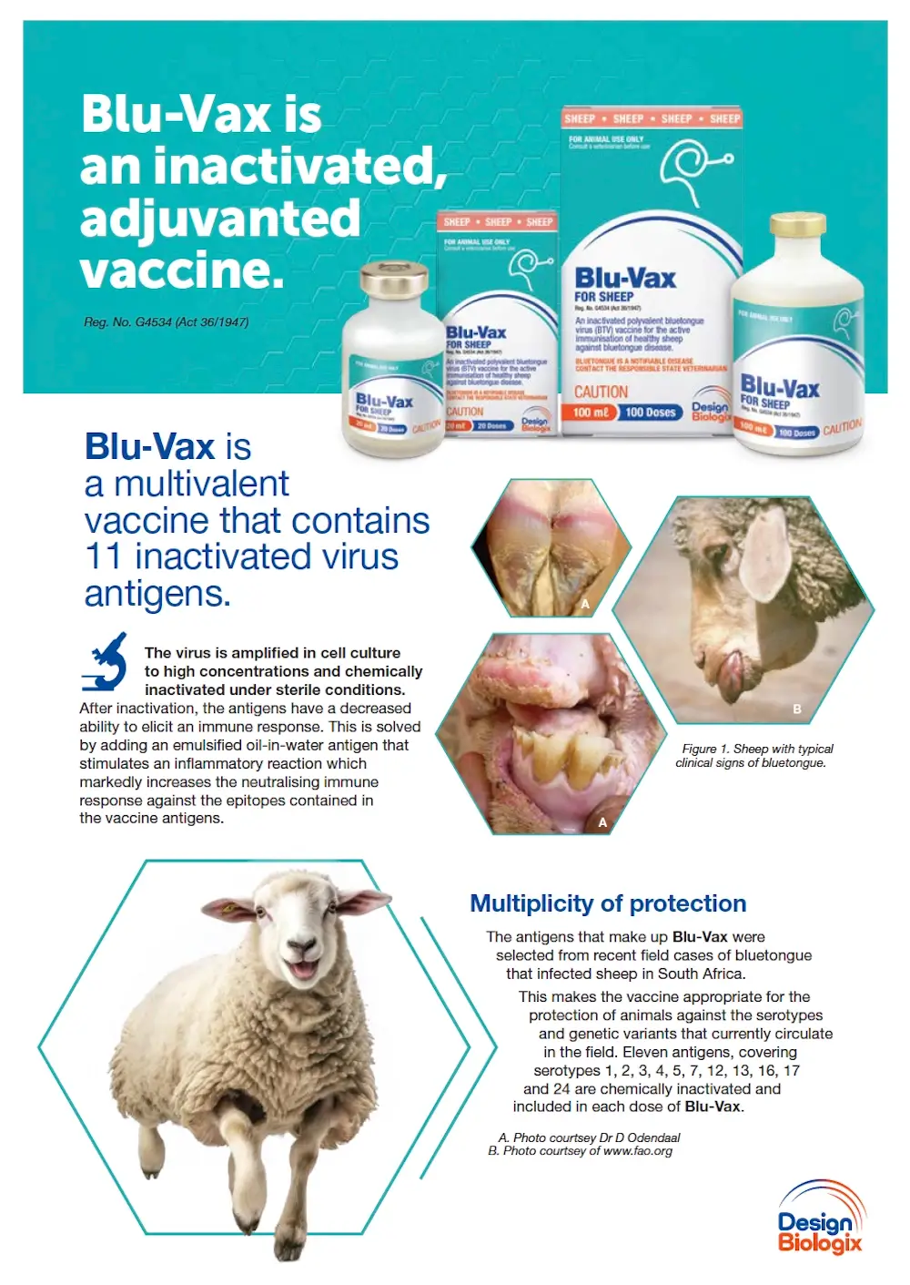 BLU-VAX INFOGRAPHIC Detailer Rev5 DIGITAL