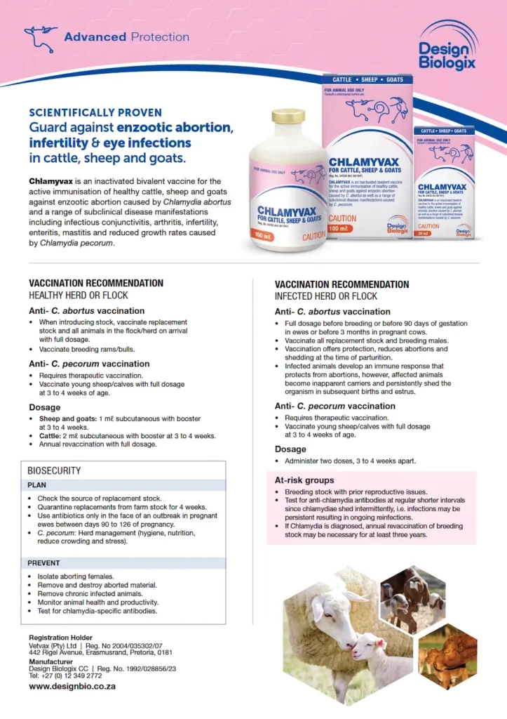 Chlamyvax Product Flyer