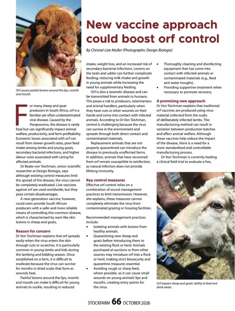 Stockfarm October 2026